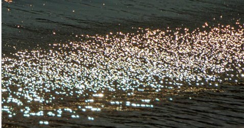 Prezentacija monografije TOPONIMIJA OTOKA KORČULE autorice prof. emerite Marine Marasović-Alujević